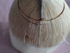 -旗鱼海番村(Orang Asli)