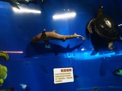 -惠州科技馆