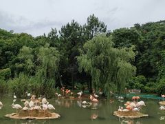 -宁波野生动物园