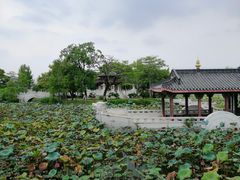 -惠州西湖丰渚园