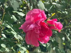 -昆山城市生态森林公园