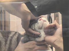 -FAELING PETS美天灵宠物(富力广场店)