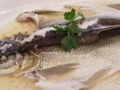 -大门水乡·顺德菜