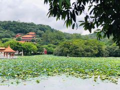 -明珠海港大酒店