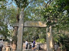 -上海佘山国家森林公园天马山园