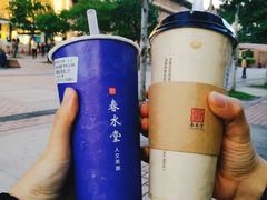 -春水堂人文茶馆(站前店)