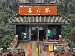 -碧峰峡风景区
