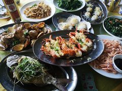 -大湾区中央湿地公园-十九涌