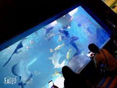 -常州海昌海洋探索馆