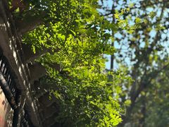 -思南公馆商业街