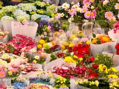 -双季花艺园艺市场(浦东店)