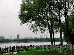 -海珠湖公园