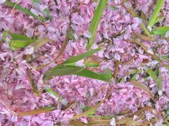 -唐城墙遗址公园