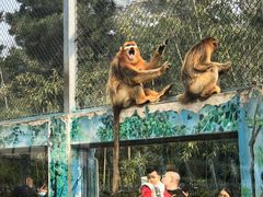 -西安秦岭野生动物园