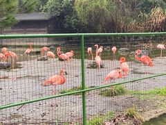-千岛湖东南湖区