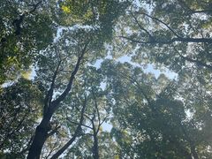 -蜀冈西峰生态公园