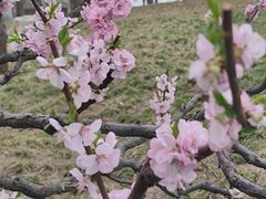 -元大都城垣遗址公园