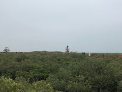 -北海金海湾红树林生态旅游区