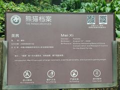 -都江堰中华大熊猫苑