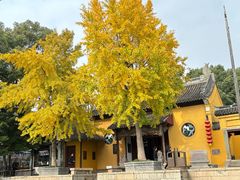 -西塘人家•黑金冠本地好店