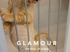 -唐小姐の私宠·宠物洗护美容·撸猫馆·购宠(周浦万达旗舰店)