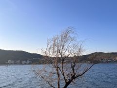 -孤山岛