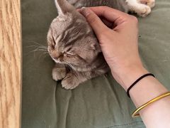 -平行世界·猫咖(首经贸店)