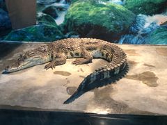 -成都浩海立方海洋公园