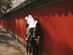 -北京国子监胡同