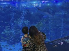 -成都浩海立方海洋公园