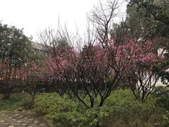 -汇龙潭