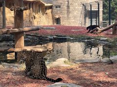 -北京野生动物园