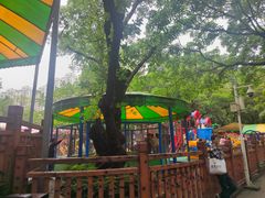 -晓港公园