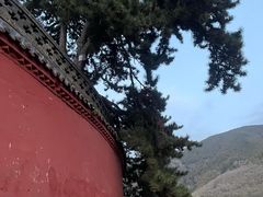 -五台山风景名胜区-罗睺寺