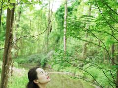 -桤木河湿地公园