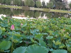-西海子公园