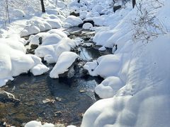 -香炉山国家森林公园