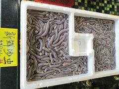 -顺德了能馆(虎门店)