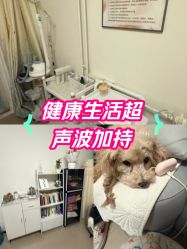 -程氏苗堂苗技养生