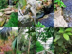 -南山植物园