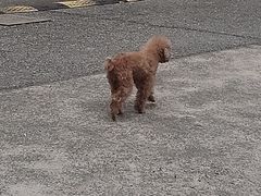 -上海市曹杨职业技术学校