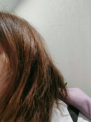 -BULB STUDIO 巴柏明星发型工作室