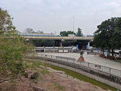 -广州七星岗古海岸遗址科学公园