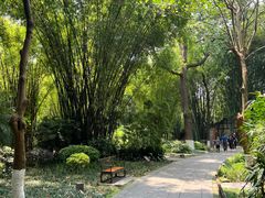 -望江楼公园