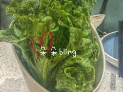 嫩叶生菜-若爱猪肚鸡·啫啫煲(循礼门M+店)