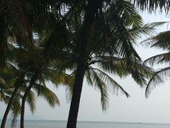 -三亚湾海居铂尔曼度假酒店