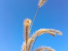 -白塘生态植物园