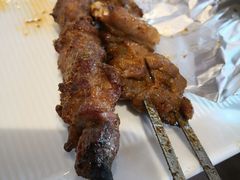 红柳木大串-大秦地·西北菜(纬四路店)