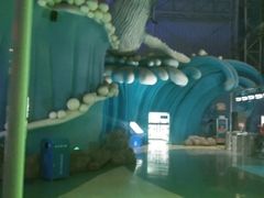 -烟台海昌鲸鲨海洋公园