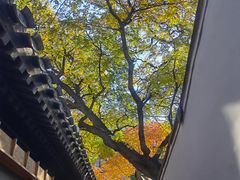 -铃木食堂(杨梅竹店)